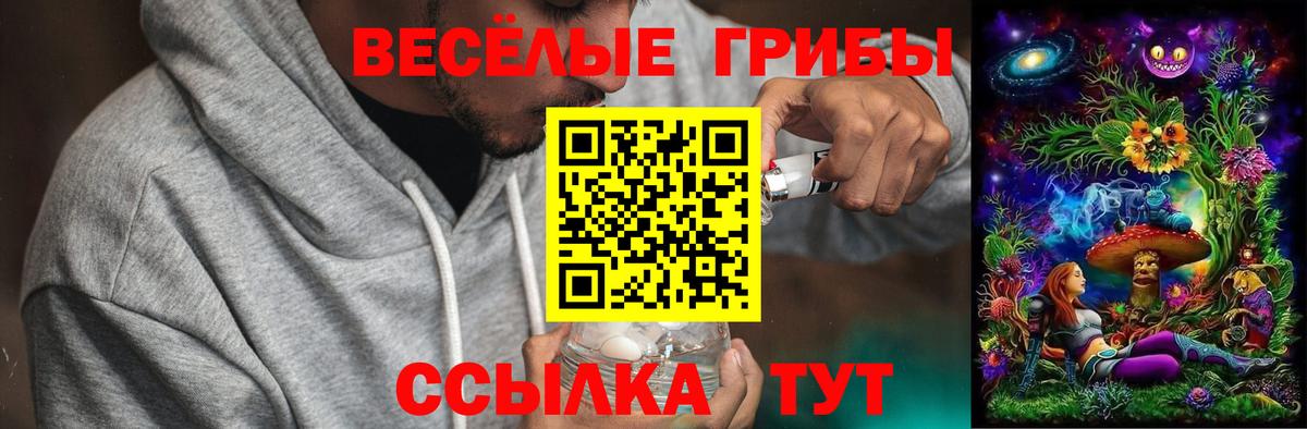 Псилоцибиновые грибы GOLDEN TEACHER  Вход с VPN  Тейково 